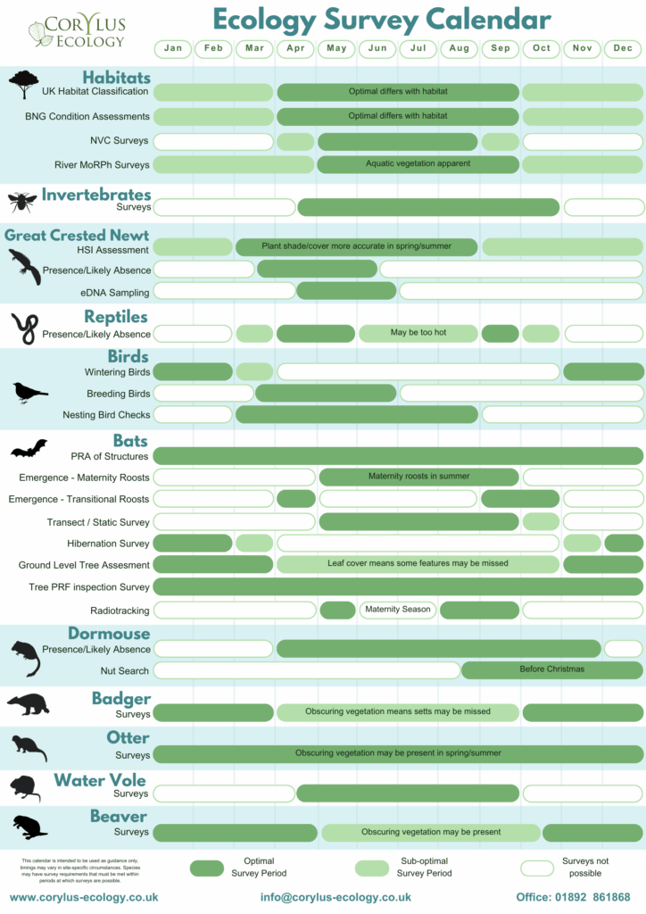 Ecology survey calendar